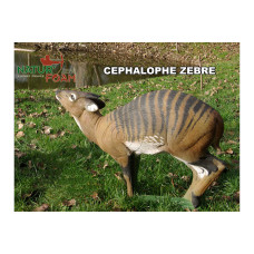 Natur Foam CEPHALOPHUS ZEBRA